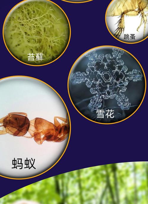 儿童显微镜便携式科学实验套装益智玩具器材小学生初中男女孩礼物
